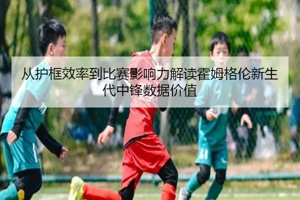 cong-hu-kuang-xiao-lv-dao-bi-sai-ying-xiang-li-jie-du-huo-mu-ge-lun-xin-sheng-dai-zhong-feng-shu-ju-jia-zhi-2-385.jpg